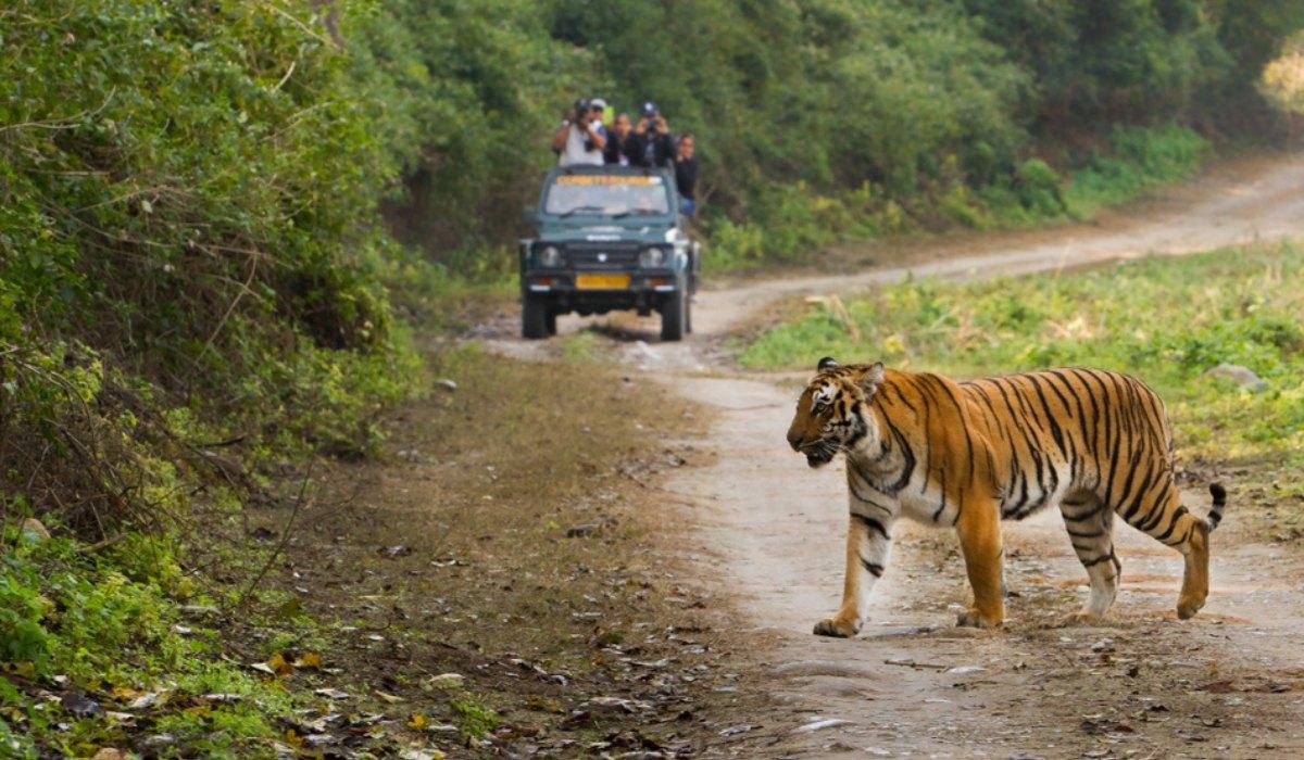 Corbett Wildlife Getaway