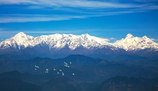 Binsar &mdash; JungleNearMe destination